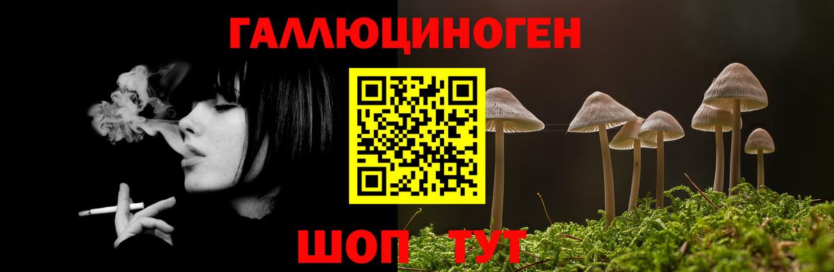 Лосино-Петровский  Псилоцибиновые грибы GOLDEN TEACHER  Вход с VPN 